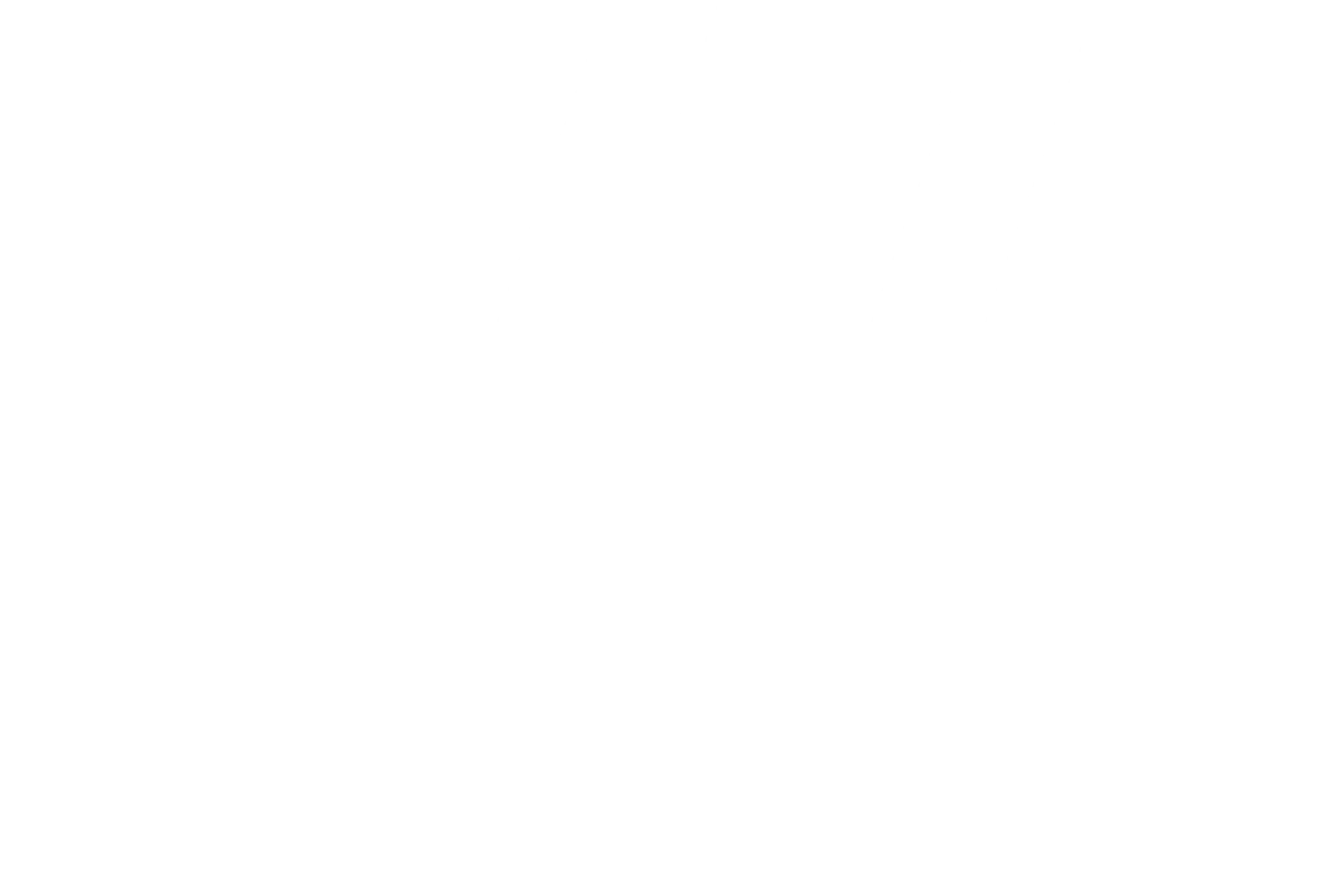 logo and name of Wesworth Electric.