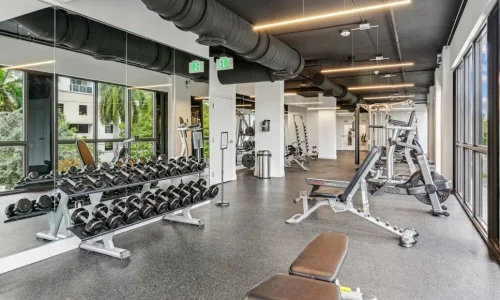 imgi_29_AF1QipMnE-DtCH7HG3pXXK9p4Uz8lQbWJAXe-nxvRqI4=s1024-k-no